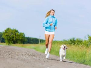 Calon Pemilik Wajib Perhatikan Hal Ini Sebelum Putuskan Adopsi Hewan