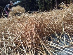 Jelang Hari Raya Kurban, Perajin Tusuk Sate Meraup Untung