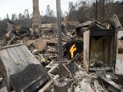Kebakaran Hutan di California Hanguskan 585 Rumah, 1 Orang Tewas