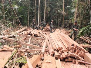 233 Batang Kayu Ilegal Diamankan Polres Aceh Timur