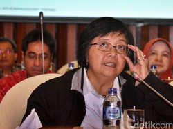 Tolak Bantuan Singapura Perangi Kabut Asap, Ini Alasan Menteri LHK