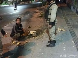 Penebang Pohon di Pusat Kota Surabaya Ditangkap, Mengapa?