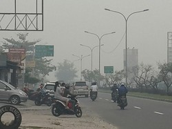 Tak Ada Titik Api, Salah Satu Alasan Walkot Pekanbaru Tetap Kunker ke Cina