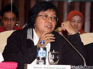 Benih Pohon Cendana Hingga Gaharu Wajib Bersertifikat Benih Pohon Cendana Hingga Gaharu Wajib Bersertifikat
