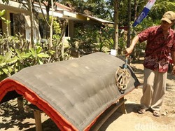 Warga Banyuwangi Menggelar Ritual Mepe Kasur