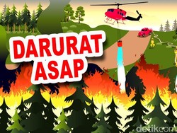 Kebakaran Lahan, Kajati Riau: Bukan Penegakan Hukum yang Lemah tapi Kesadaran