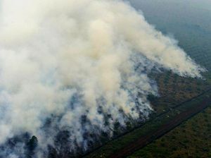 Segala Upaya Harus Ditempuh untuk Menangkan Gugatan Rp 7,9 T di Kasus Kebakaran Hutan
