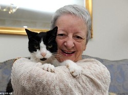 Kisah Sue, Kankernya Diketahui karena Tingkah Kucing Peliharaan