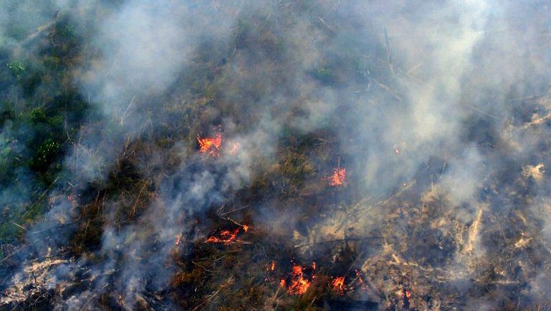 Panja Karhutla DPR akan Panggil Perusahaan yang di SP3 Polda Riau