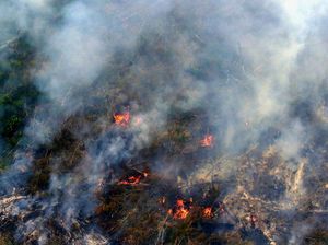 Sidang Kasus Kebakaran Lahan, PT LIH Disebut Rusak Lingkungan Senilai Rp 192 M