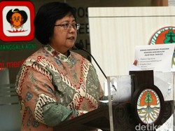 Larang Pembakaran Hutan, Menteri LHK Setuju Revisi UU Lingkungan Hidup
