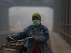 BNPB: Kabut Asap Tidak Penuhi Semua Syarat Penetapan Status Bencana Nasional