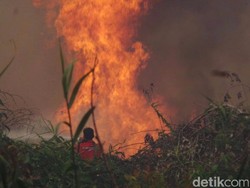 Dalam 2 Hari, Kebakaran Lahan Malah Bertambah di Kalimantan Timur