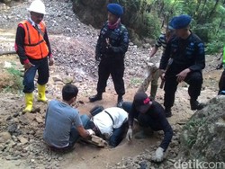 Tim Gabungan Tutup Ratusan Lubang Gurandil di Tambang Emas Pongkor