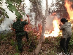 Duh! Hotspot Juga Muncul di Sulawesi, Papua dan Maluku