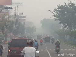 Ini Usul DPR soal Sanksi untuk Korporasi Pembakar Hutan agar Jera