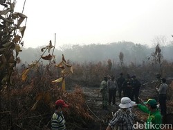 APHI: Anggota Kami yang Rugi Setiap Kebakaran Lahan