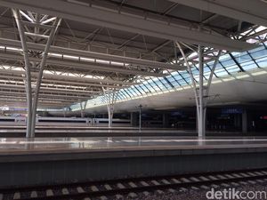 Proyek Kereta Cepat Jakarta-Bandung Harus Sediakan 114 Ha Lahan Pengganti Hutan