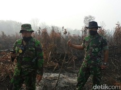 Pemerintah Yakin Menangkan Gugatan Kebakaran Hutan Rp 491 M ke PT JJP