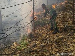 Aksi Pasukan Kostrad di Tengah Lautan Api Kebakaran Lahan di Pelalawan Riau