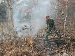 Saat Pasukan Elite TNI AU Berjibaku Padamkan Kebakaran Lahan di Kampar