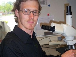 Demi Ilmu Pengetahuan, Peneliti Ini Relakan Mr P Disengat Lebah