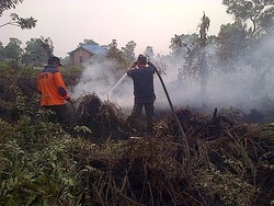 Polda Sumsel Sidik 15 Korporasi dalam Kasus Kebakaran Hutan dan Lahan