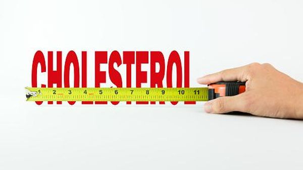 8 Makanan Ini Dipercaya Dapat Menurunkan Kolesterol Jahat