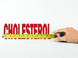 Ternyata Segini Batas Kadar Kolesterol Normal pada Wanita dan Pria Ternyata Segini Batas Kadar Kolesterol Normal pada Wanita dan Pria