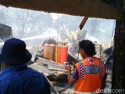 Peternakan Ayam Petelur Terbakar, 14.000 Ayam Mati Terpanggang