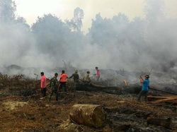 Puluhan Perusahaan Dipasangi Police Line Buntut Maraknya Karhutla