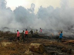 Puluhan Perusahaan Dipasangi Police Line Buntut Maraknya Karhutla