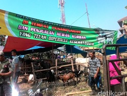 Cerita Pedagang Hewan Kurban yang Laris Manis Diborong Pembeli