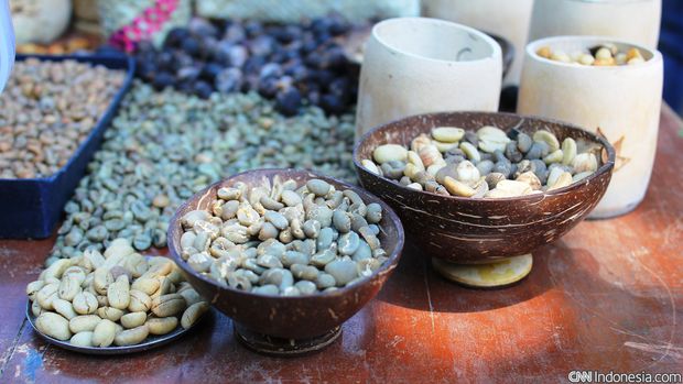 Biji kopi hasil perkebunan Yuridulloh di Desa Kucangan, Ambal, Kebumen, Jawa Tengah