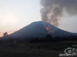 BNPB Masih Berjuang Padamkan Api di Hutan 5 Gunung di Indonesia
