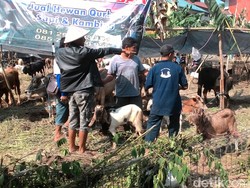 Ini Siasat Polisi Cegah Kericuhan Pembagian Daging Kurban di Bandung