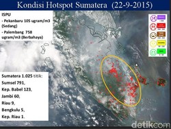 BPBD OKI: Hotspot Bukan Berarti Firespot, Bisa Jadi Panas dari Atap Seng