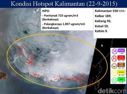 BNPB: Hotspot di Sumatera dan Kalimantan Menurun, Tapi Asap Masih Tebal