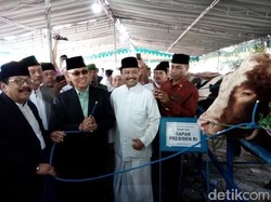 Sapi Qurban Presiden Jokowi untuk Masjid Al Akbar Seberat 1,250 Ton
