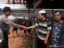 Polresta Pekanbaru Sumbang 15 Ekor Sapi untuk Kurban