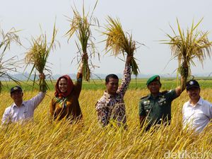 Mentan Minta Jajarannya Cegah Penyebaran Benih Palsu Mentan Minta Jajarannya Cegah Penyebaran Benih Palsu
