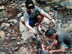 Polisi Tangkap 3 Orang yang Diduga Bunuh Beruang Madu dari Info di FB