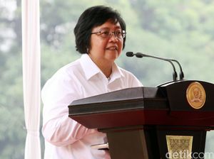 Gugatan Kebakaran Hutan Ditolak, Menteri LHK: Biar Publik yang Menilai