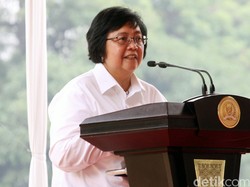 Menteri LHK: Kalau Masih Bergelut di Sumatera dan Kalimantan, Kita Akan Babak Belur