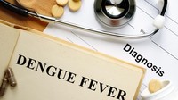 4 Warga Lubuklinggau Terkena DBD di Awal 2026, Satu Meninggal Dunia