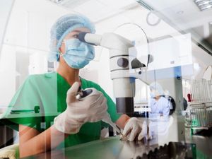 Sedang Diteliti di FKUI, Stem Cell Kelak Bisa Atasi Disfungsi Ereksi Sedang Diteliti di FKUI, Stem Cell Kelak Bisa Atasi Disfungsi Ereksi