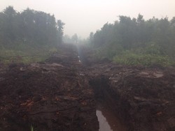Kondisi Asap di Palangkaraya Membaik, Jarak Pandang Berangsur Meningkat