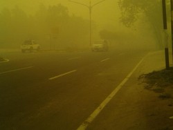 Asap Palangkaraya Bahaya, Warga: Kalau Begini Terus Bisa Mati Pelan-pelan