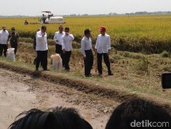 Jokowi Minta Menag Laporkan Perkembangan Tragedi Mina Setiap Jam