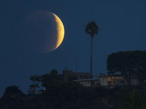 Siap-siap Yuk, Hari Selasa Kita Salat Gerhana Bulan